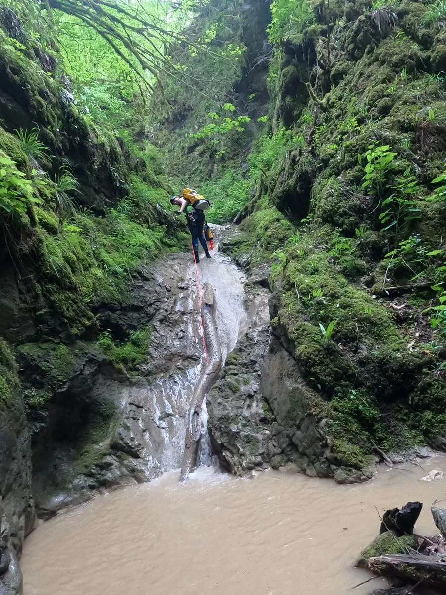 Ruisseau des Gorges
